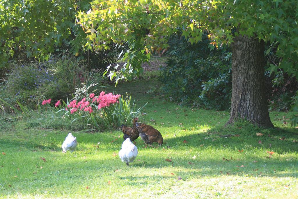 Strathmore Farm B&B Mirboo North Luaran gambar