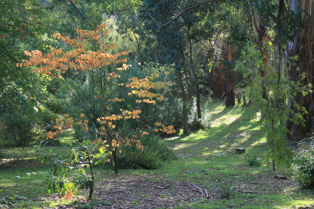 Strathmore Farm B&B Mirboo North Luaran gambar