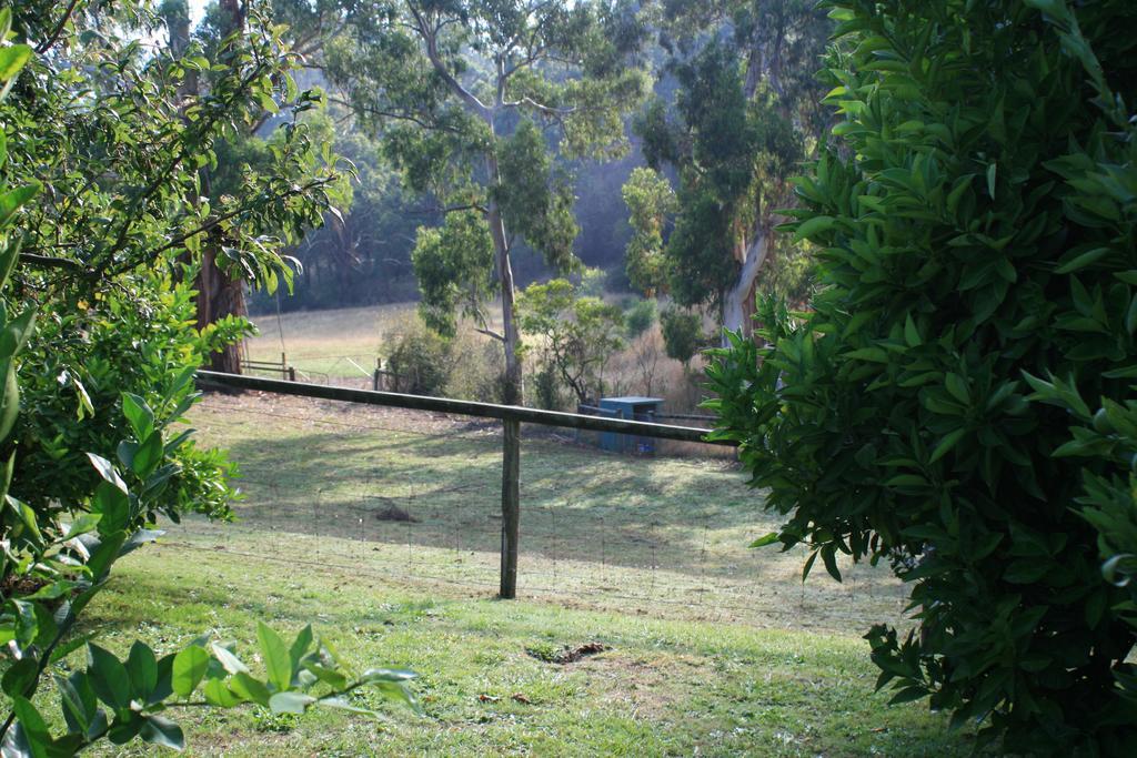 Strathmore Farm B&B Mirboo North Luaran gambar