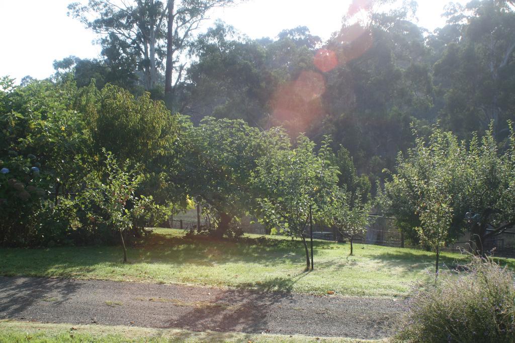 Strathmore Farm B&B Mirboo North Luaran gambar