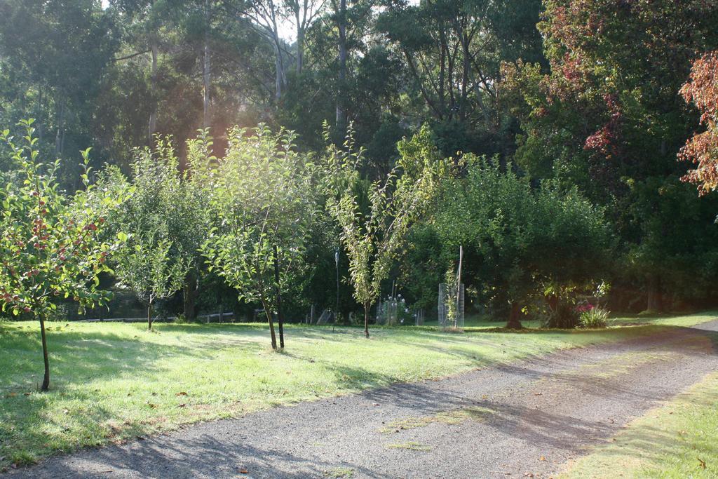 Strathmore Farm B&B Mirboo North Luaran gambar